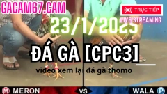 Đá Gà Trực Tiếp CPC3 video xem lại gà đá giải hôm nay ngày 23-1-2025