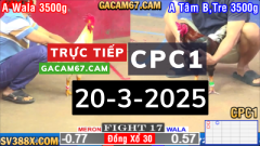 Live Treams Đá Gà Trực Tiếp Bình Luận Viên Hôm Nay [CPC1] 20/3